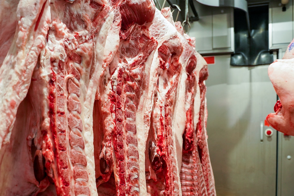 信州屋は市場から直接１頭買いした国産豚肉を提供しています。